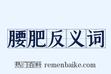 腰肥反义词是什么意思的图片